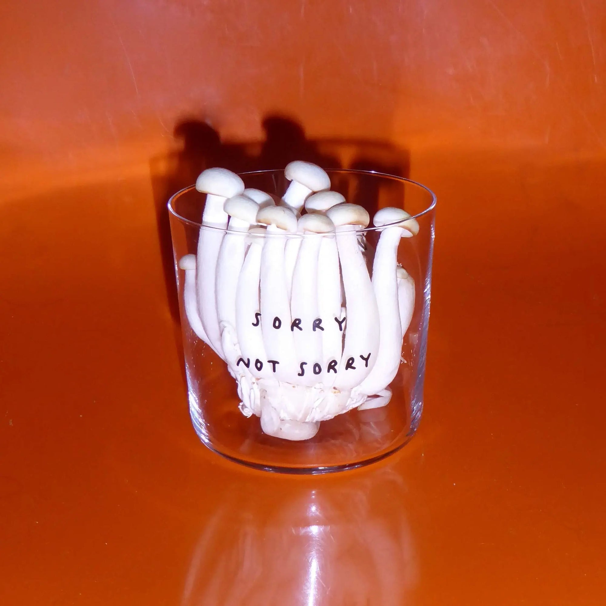 Sorry not sorry (Medium)