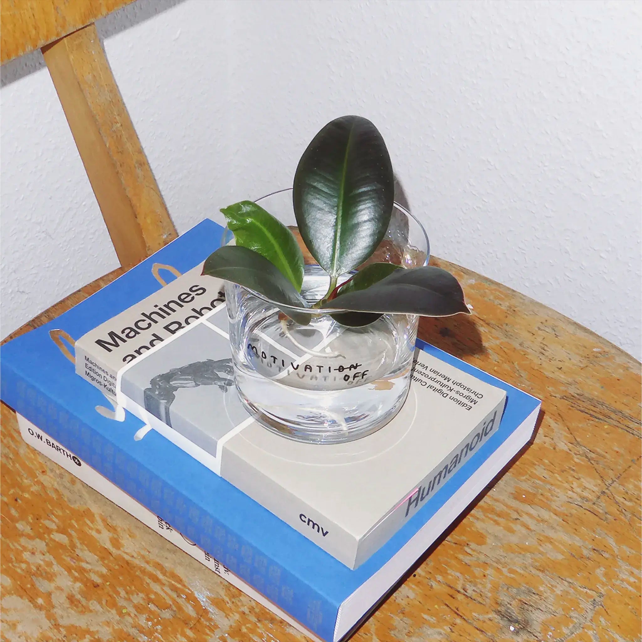 Transparentes Designer Glass mit filigranen dünnen Wänden und Boden schwarzem Schriftzug "Motivatioff", wobei eigentlich Motivation geschrieben ist, das ON am Ende durchgestrichen ist, und durch OFF ersetzt wird. Weißer Hintergrund.
Das Glas steht auf mehreren Büchern, ist mit Wasser befüllt und eine kleine Pflanze ist im Glas. 