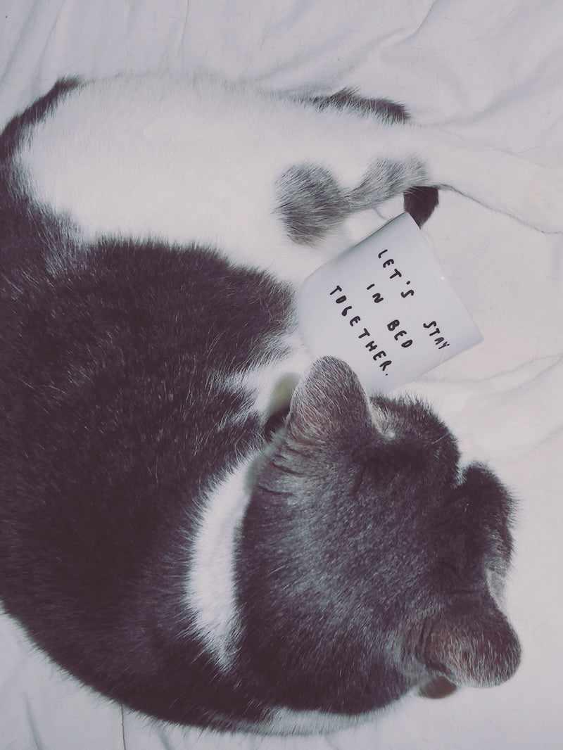Let's stay in bed together